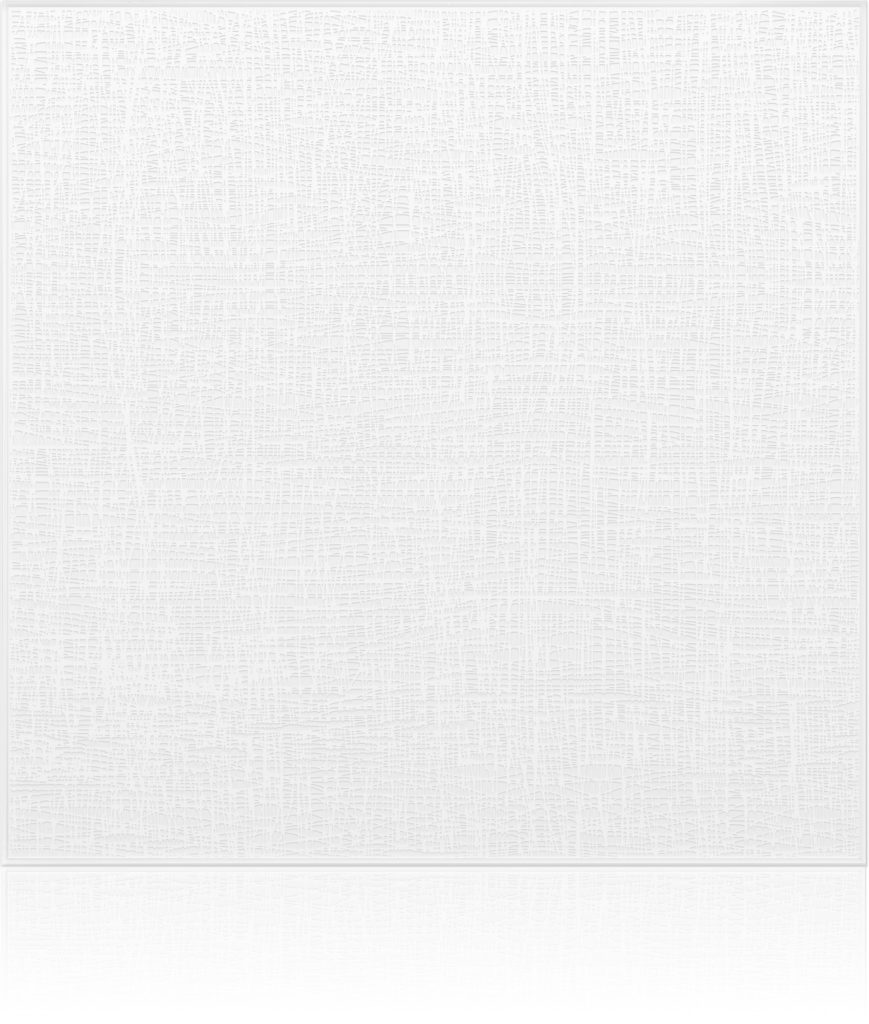 Glass Wall Panels - Etched - Fish-Net