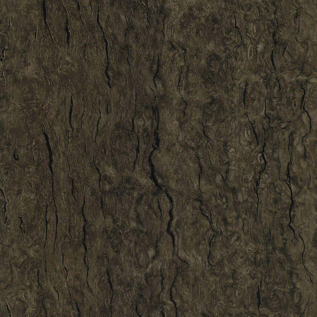 Wood - Laminate Wall Panels - Bw103_Eucalyptus_WDDL