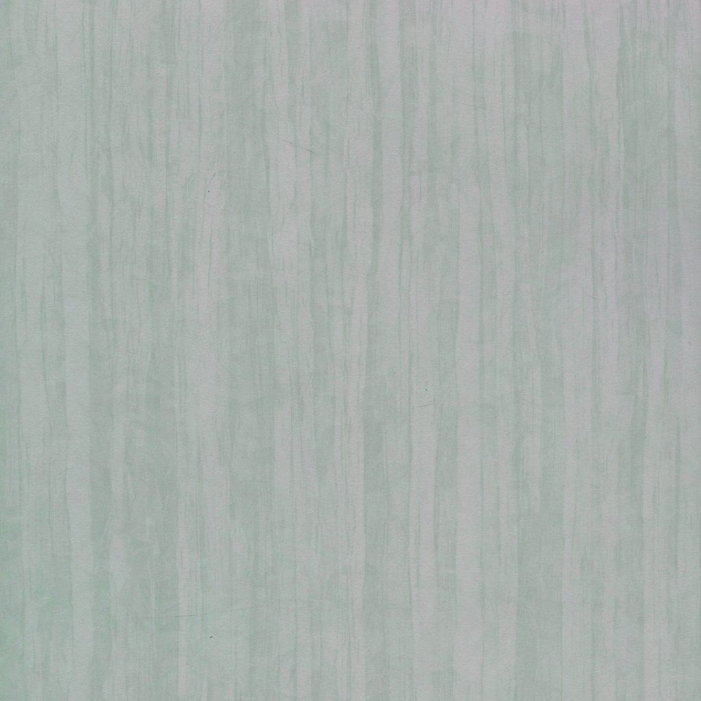  Wood - Laminate Wall Panels - Wp105_Birch_WDDL