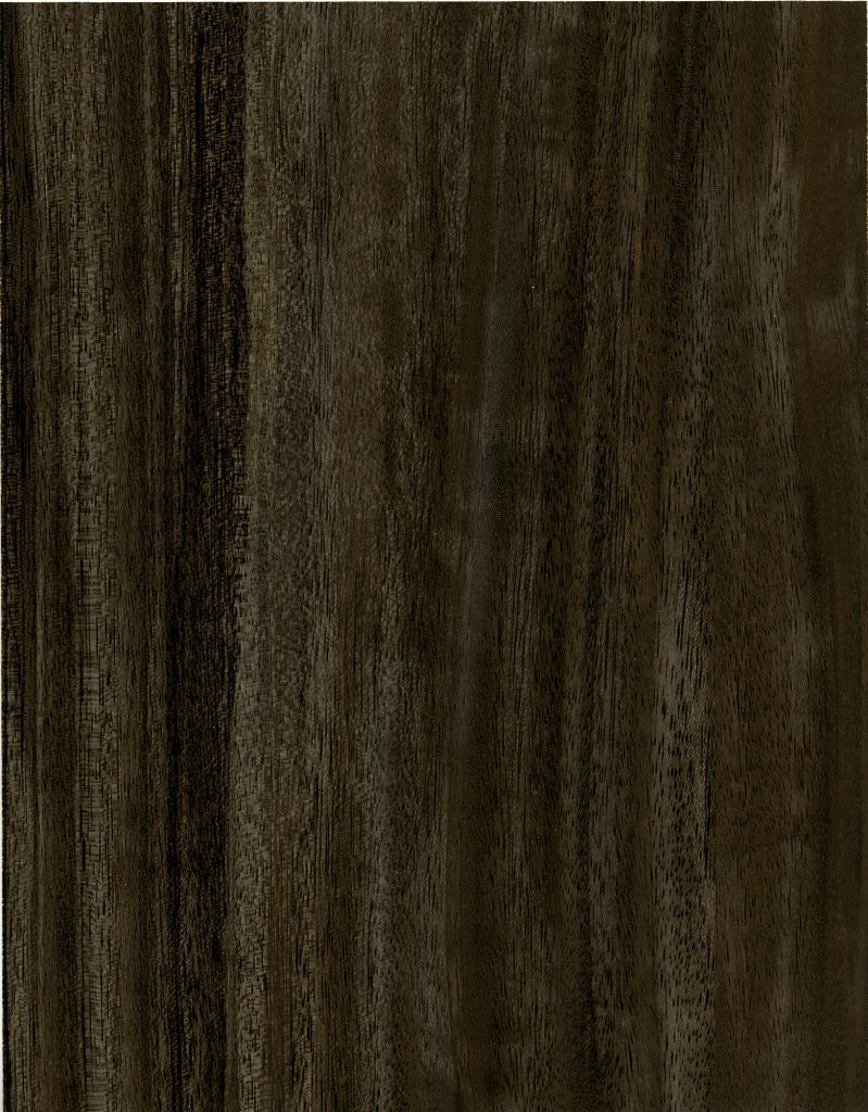 Wood - Laminate Wall Panels - Xw205_Specialty_WDDL