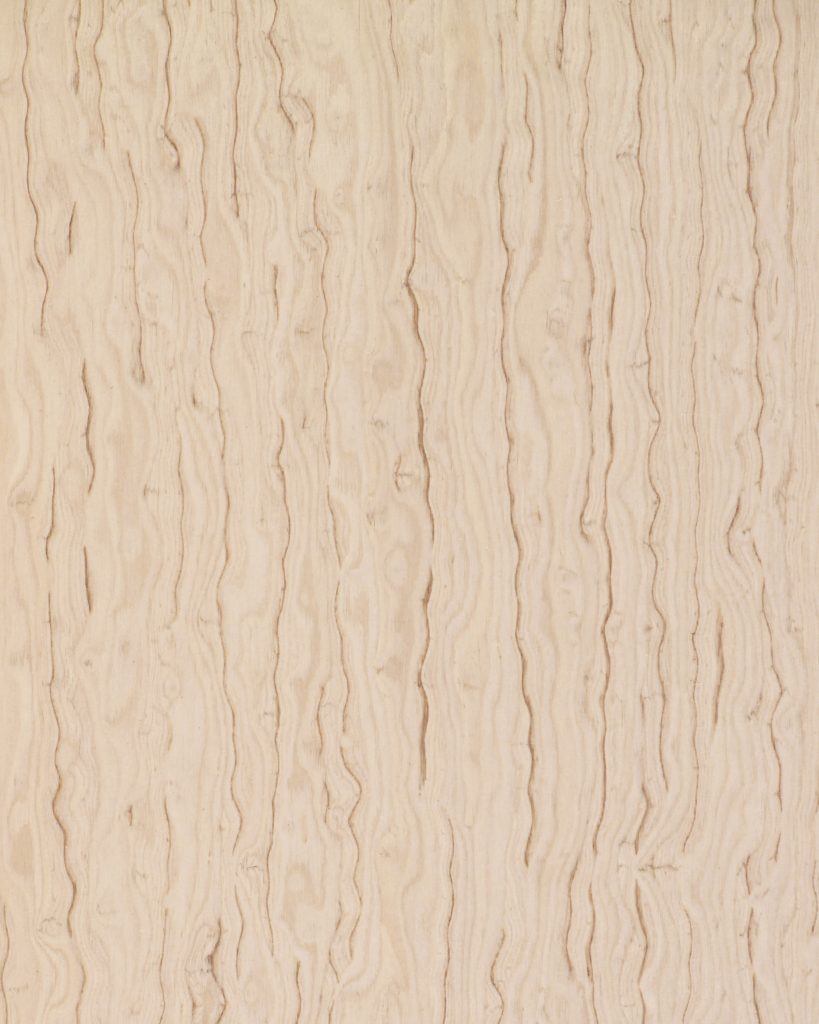 Wood Wall Panels - Ash - 907_Silver_Ash