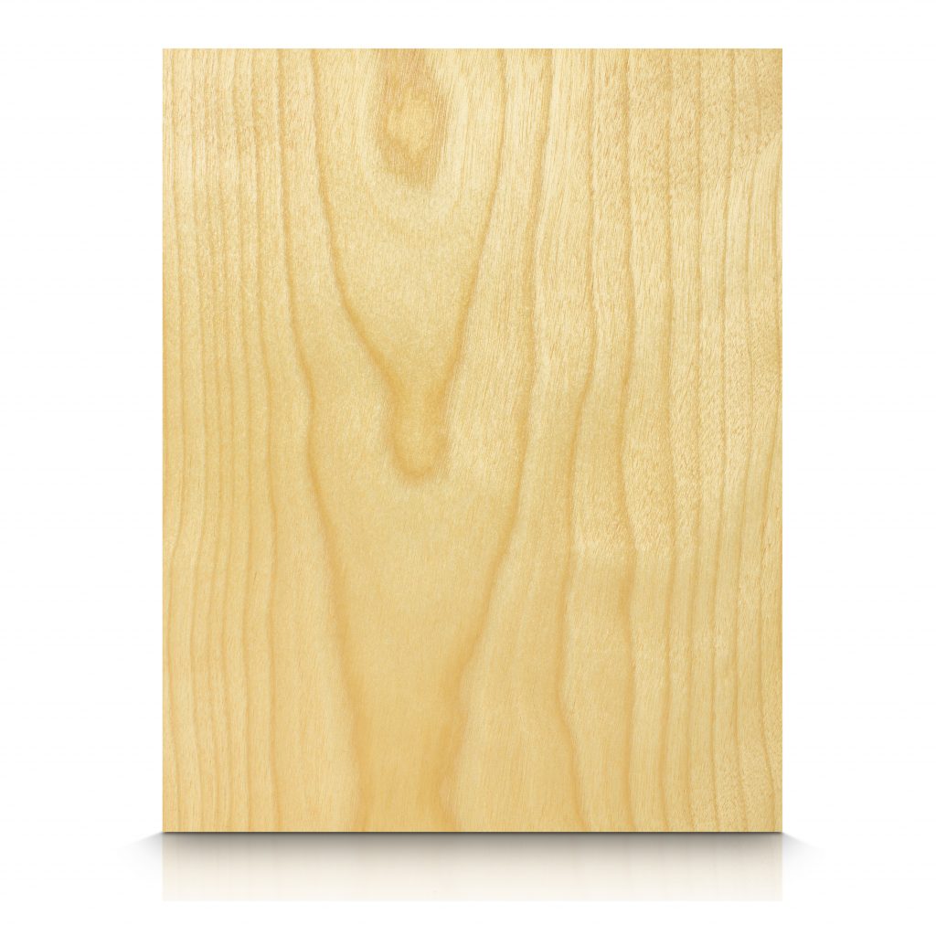 Wood Wall Panels - Birch - Birch_White_FC