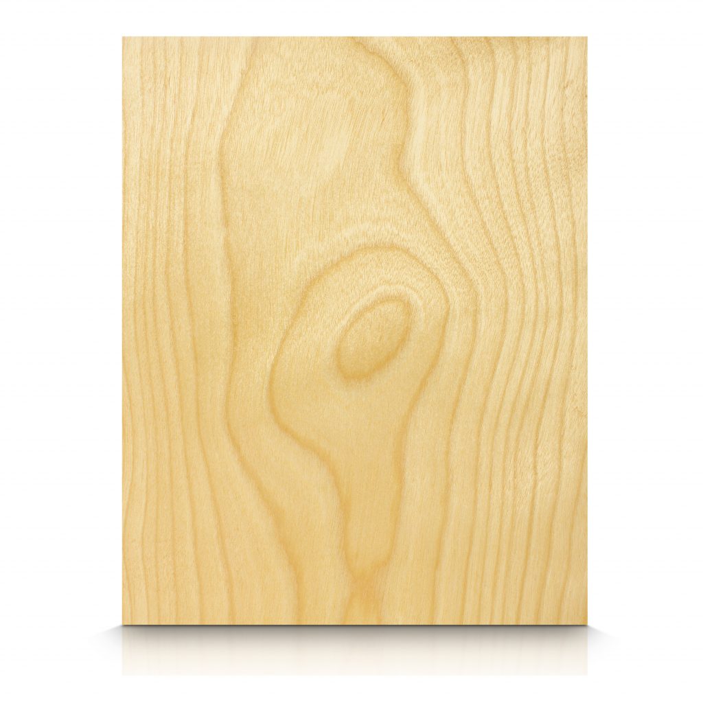 Wood Wall Panels - Birch - Birch_White_FC