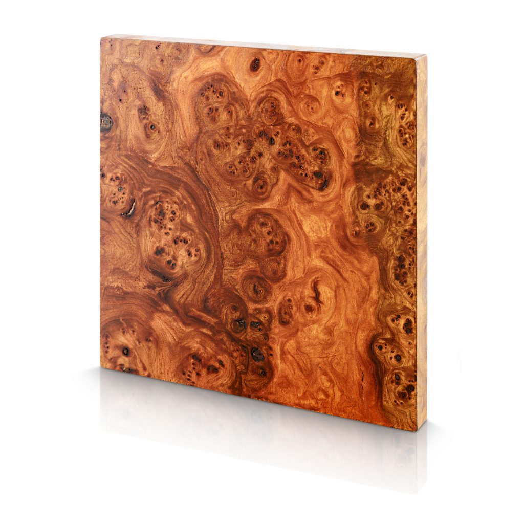 Wood Wall Panels - Elm - Elm_Carpathian_Burl