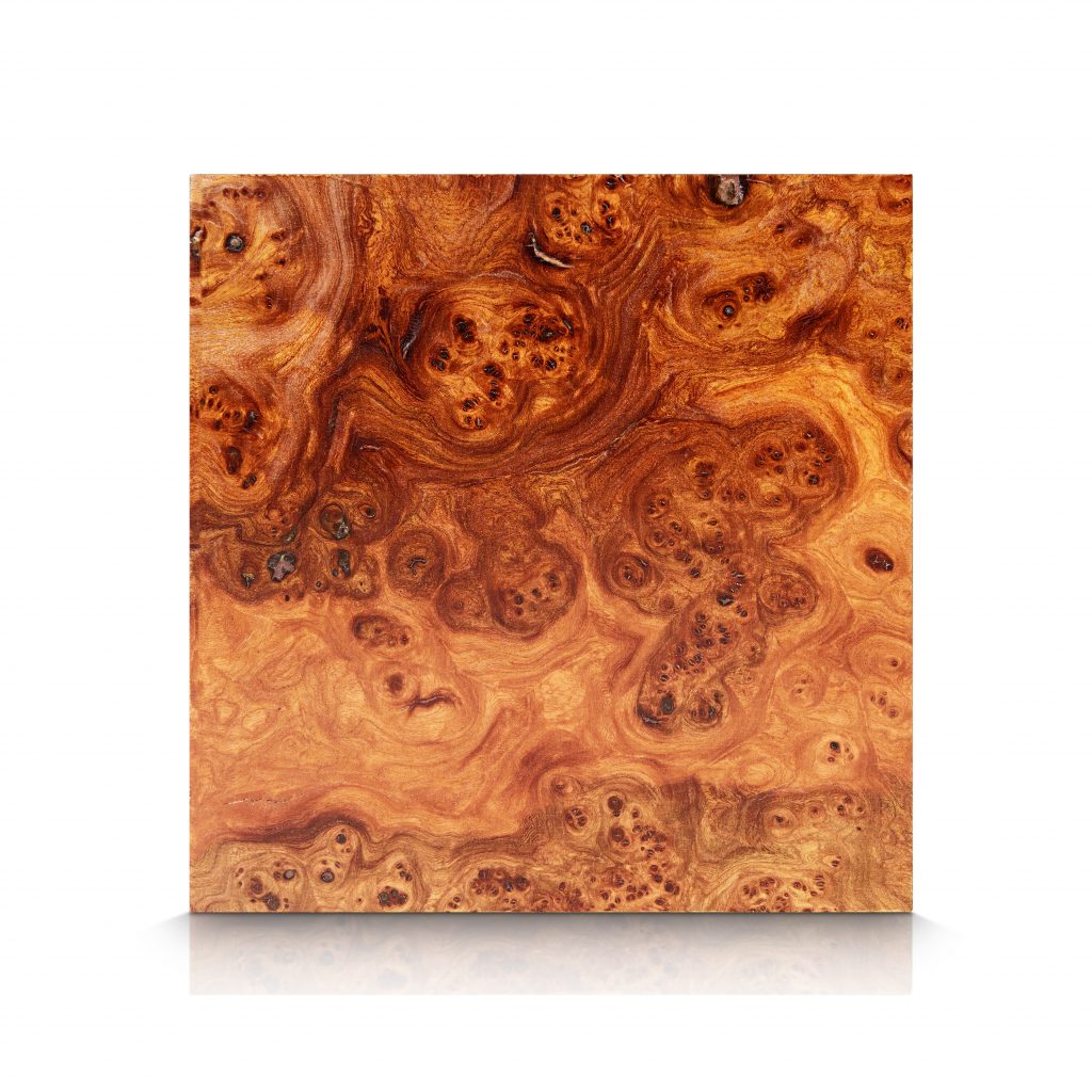 Wood Wall Panels - Elm - Elm_Carpathian_Burl