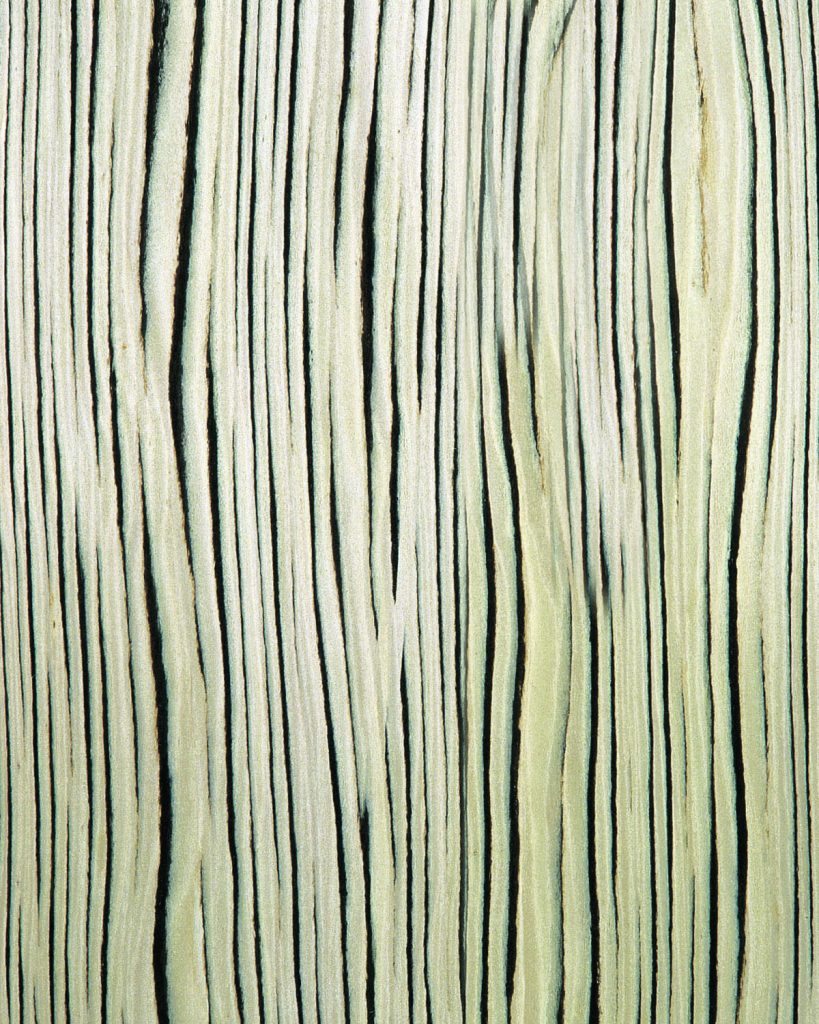  Exotic - Wood Wall Panels - 604_Macassar