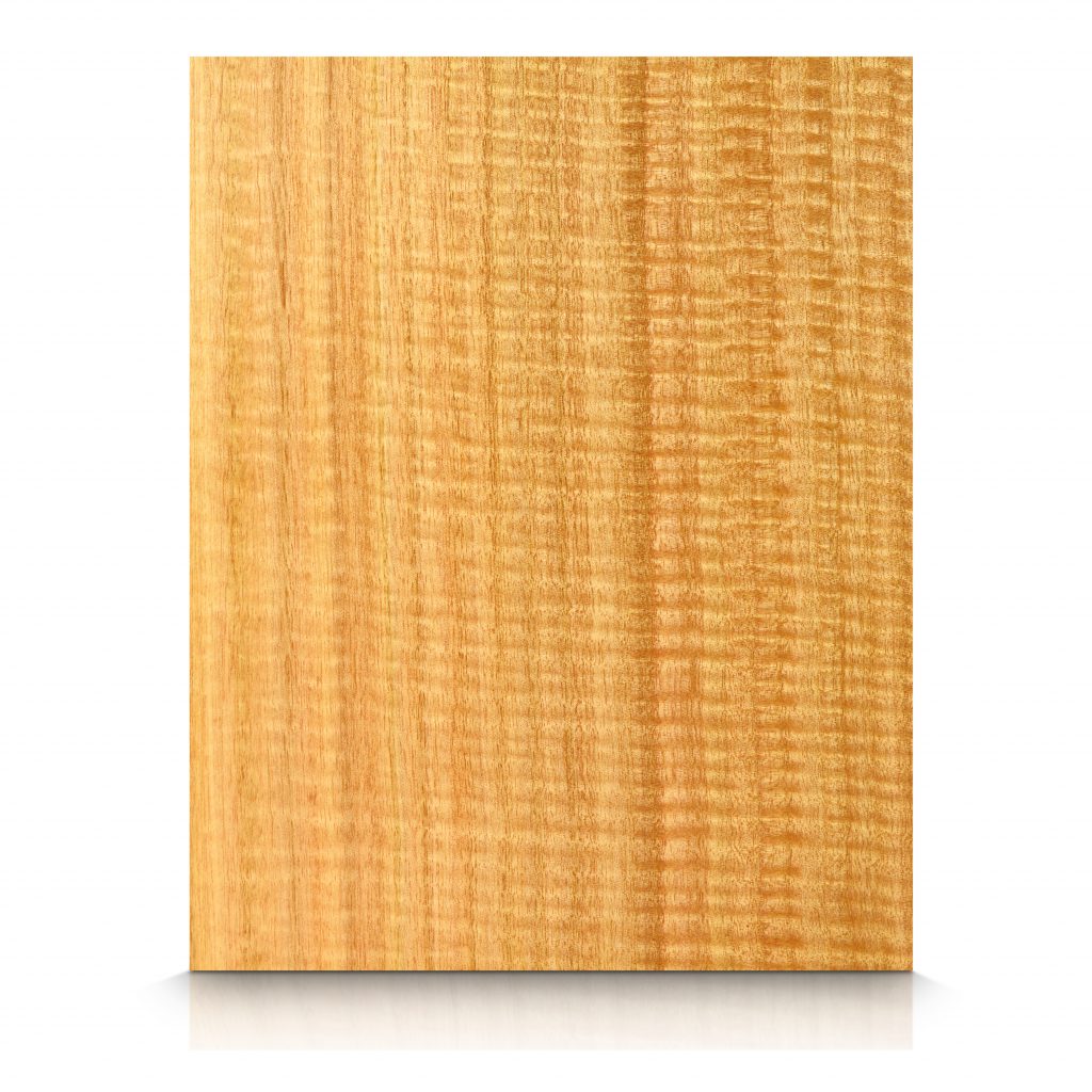 Exotic - Wood Wall Panels - Eucalyptus_Figured_QC