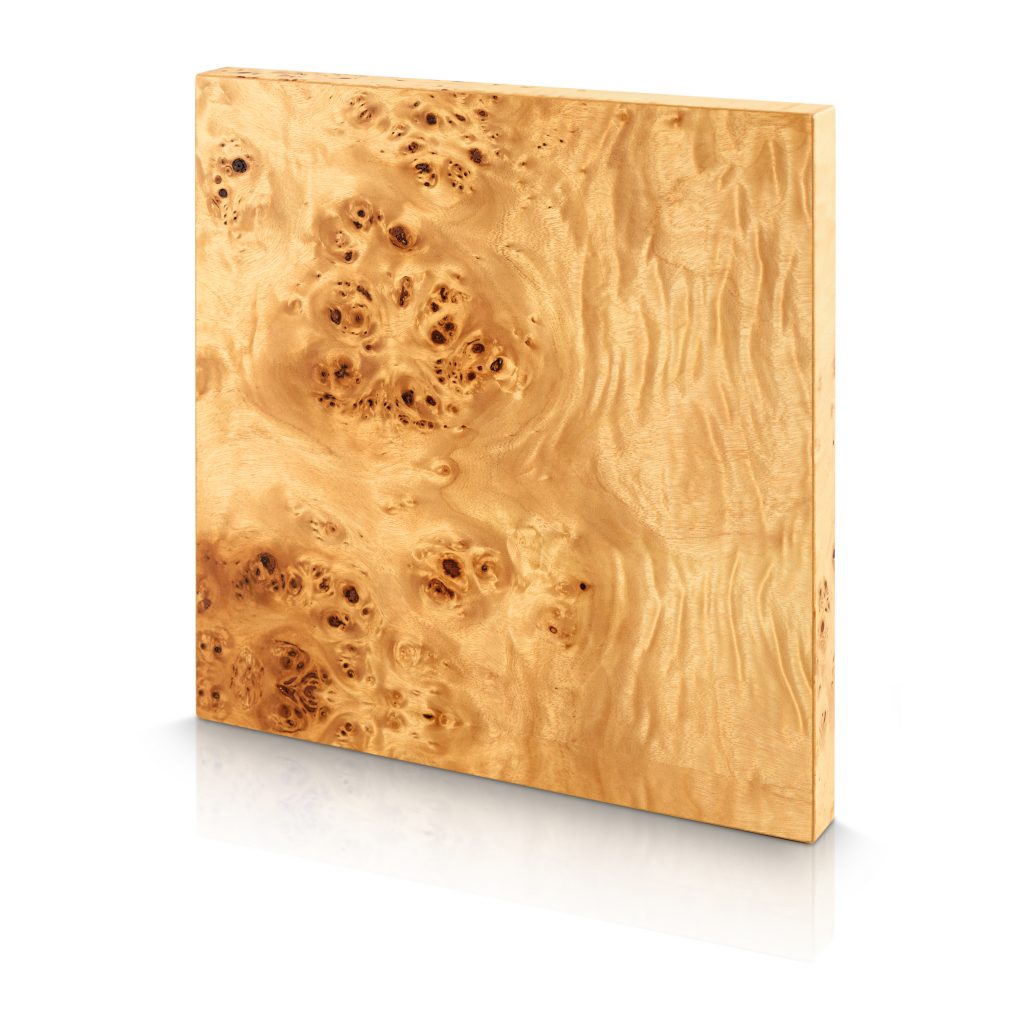 Exotic - Wood Wall Panels - Mappa_Burl