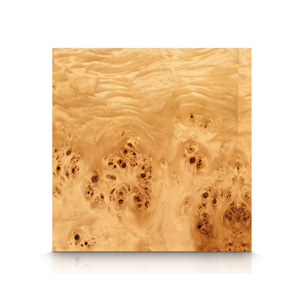 Exotic - Wood Wall Panels - Mappa_Burl