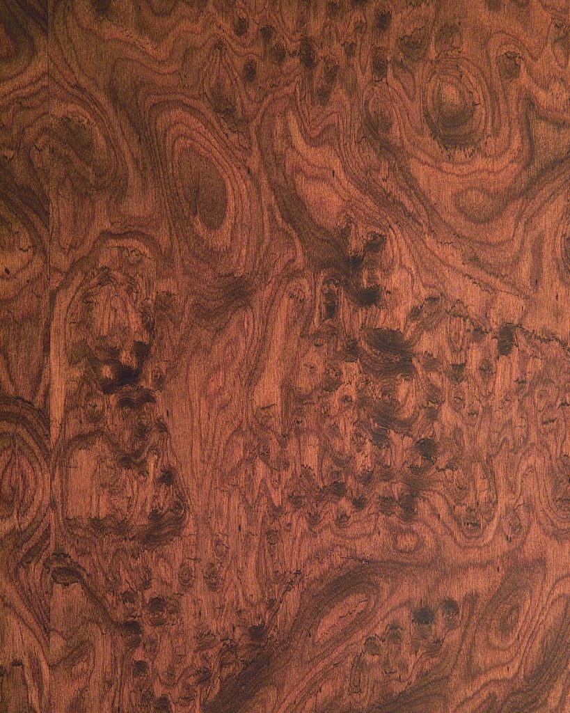 Wood Wall Panels - Mahogany - 403_Mahogany_Burl