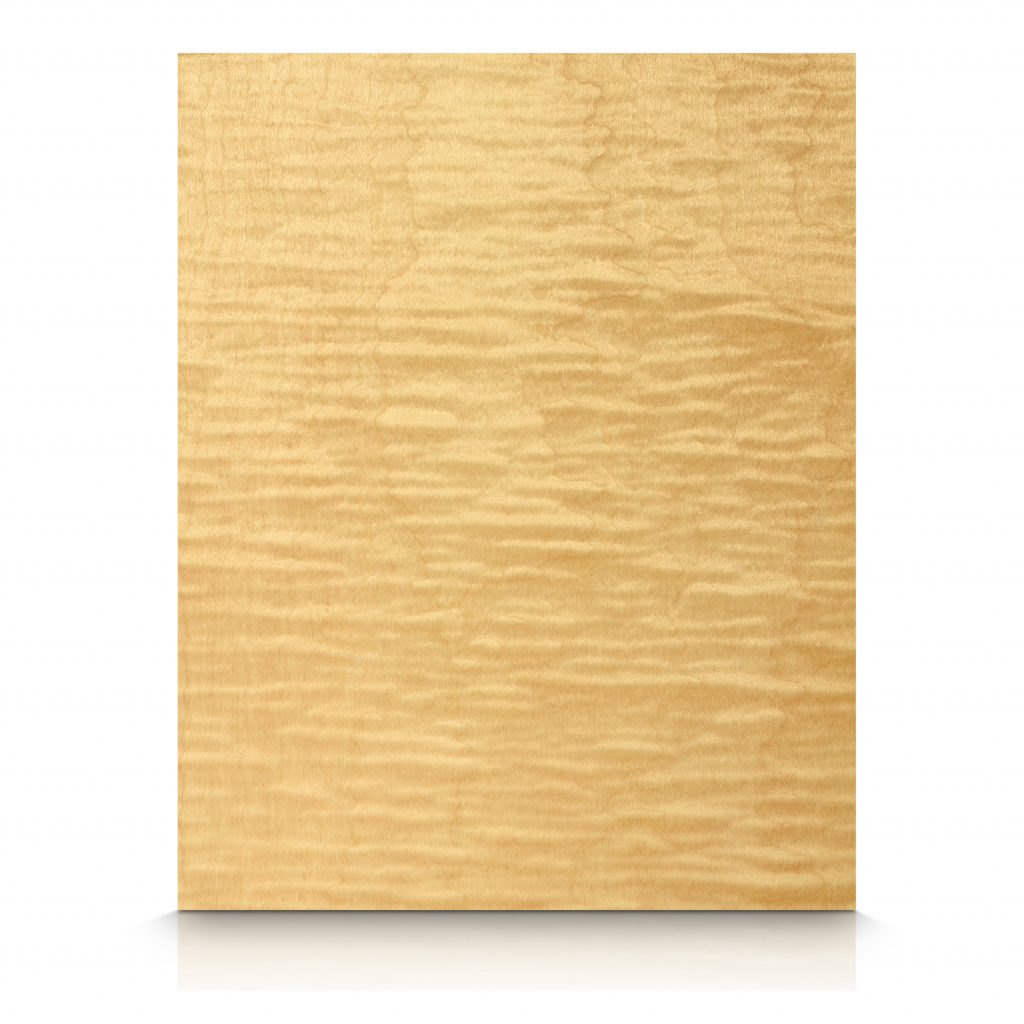 Wood Wall Panels - Maple - Maple_Curly_FC