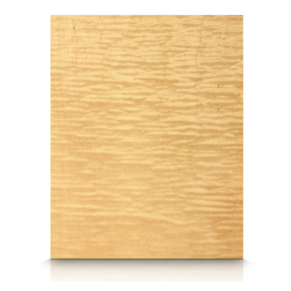 Wood Wall Panels - Maple - Maple_Curly_FC