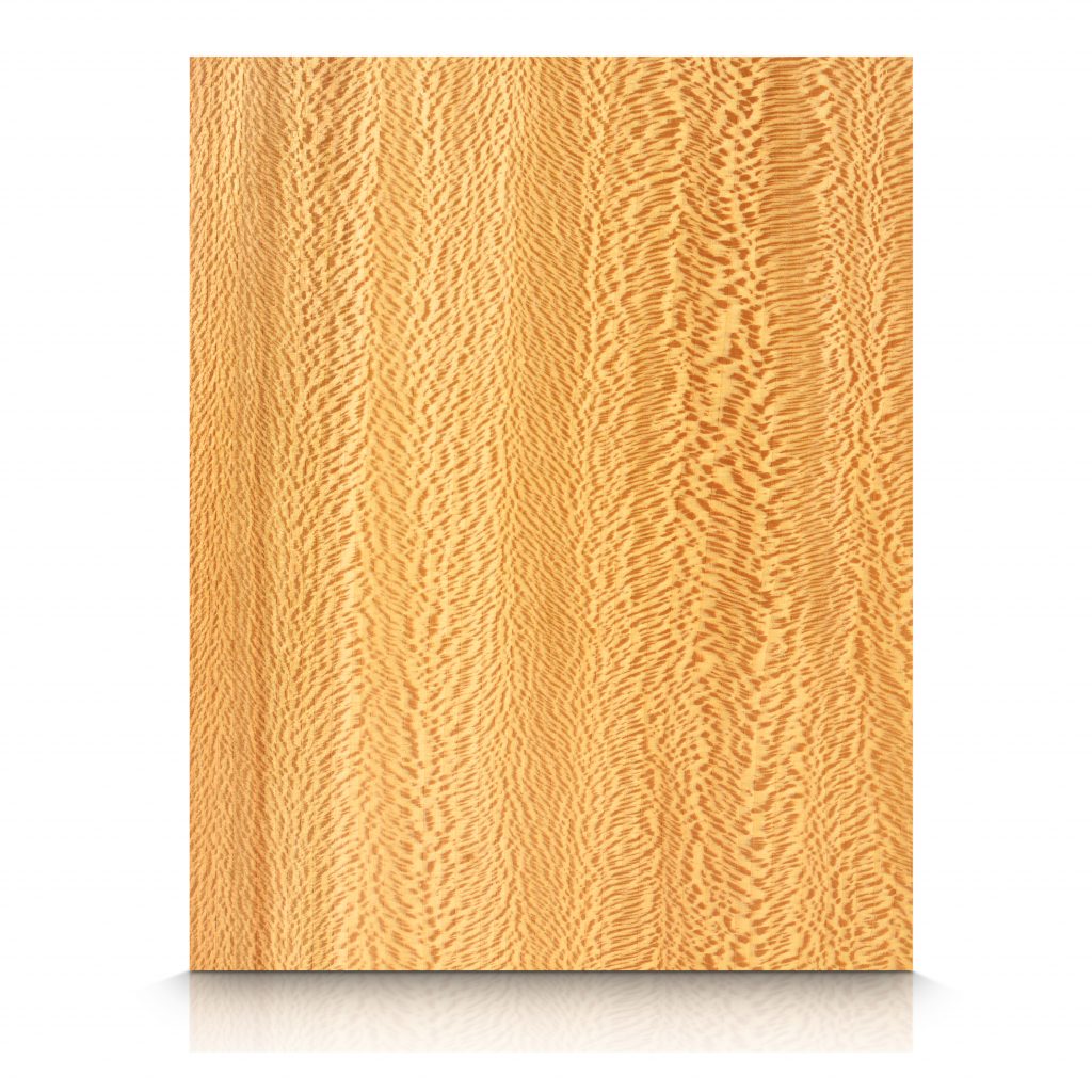 Wood Wall Panels - Sycamore - Sycamore_American_Flakey_QC