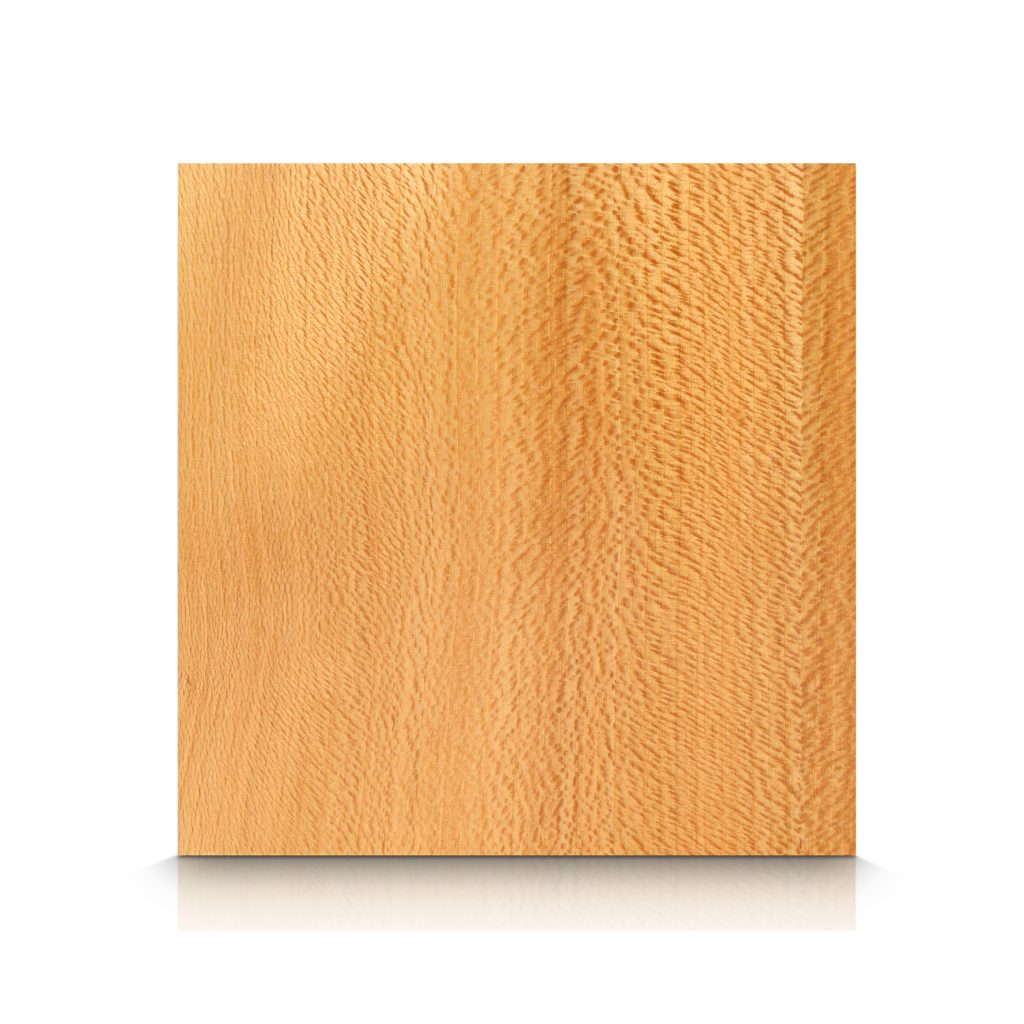  Wood Wall Panels - Sycamore - Sycamore_American_QC